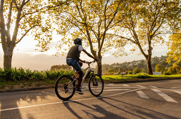 nachhaltige-radwege-wurzelbruecke-geozellen