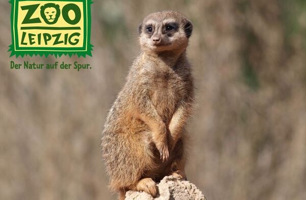 Zoo Leipzig EcoTrade Unterstützung Patenschaft-7562572b