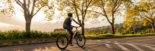 nachhaltige-radwege-wurzelbruecke-geozellen