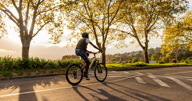 nachhaltige-radwege-wurzelbruecke-geozellen