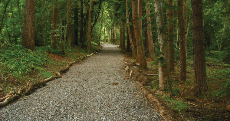 TERRAM-Geozellen-Wurzelschutz-Tragschicht-Waldweg-Radweg-Forstweg