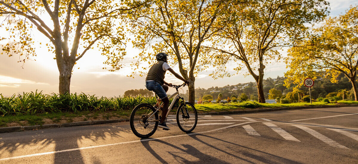 nachhaltige-radwege-wurzelbruecke-geozellen