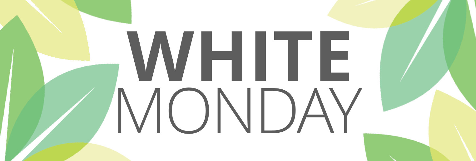 header-white-monday-blog-schmal