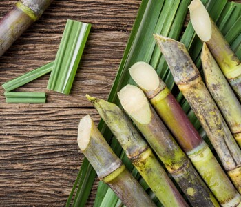 sugarcane-5388614_1280