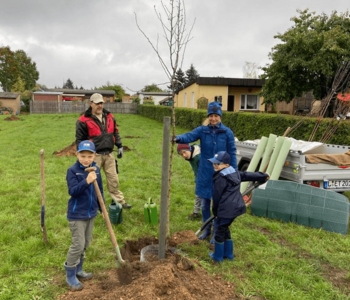 ecotrade-plant-for-the-planet-baum-einpflanzen