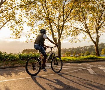 nachhaltige-radwege-wurzelbruecke-geozellen