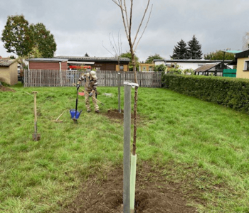 ecotrade-plant-for-the-planet-der-erste-Baum-steht