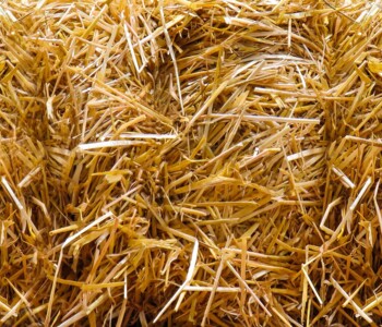 straw-1649857_1280