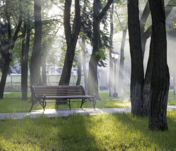 stadtpark-hangbegruenung-turfquick-rasenvlies-ecotrade-leipzig_pexels_269176