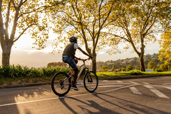 nachhaltige-radwege-wurzelbruecke-geozellen