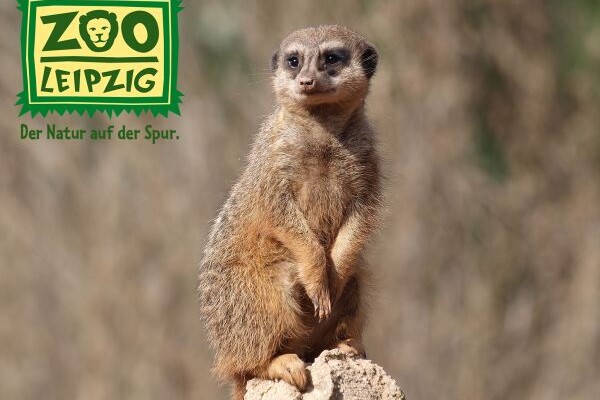 Zoo Leipzig EcoTrade Unterstützung Patenschaft-7562572b